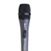 Dynamic Mics